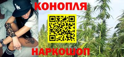 прущие грибы Кунгур