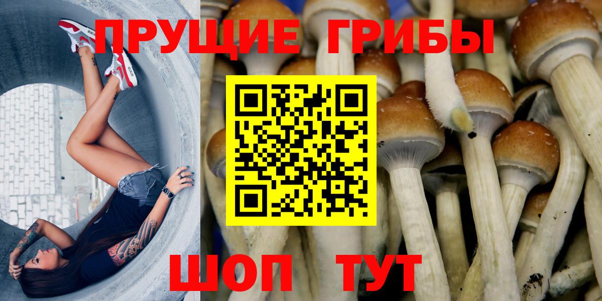 Дивногорск  Галлюциногенные грибы ЛСД  Вход с VPN 